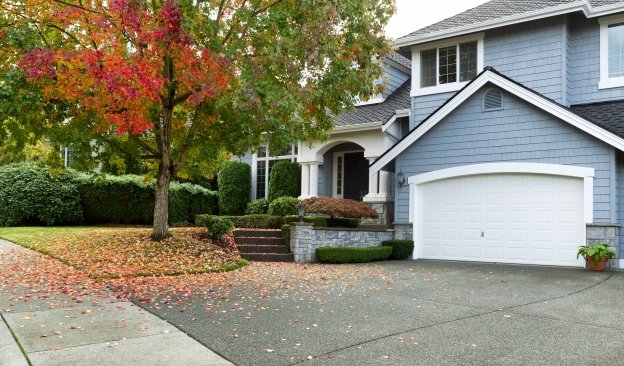 How Trees Can Damage Your Roof