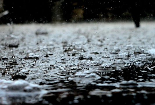 How to Prepare Your Gutters for the Rainy Season