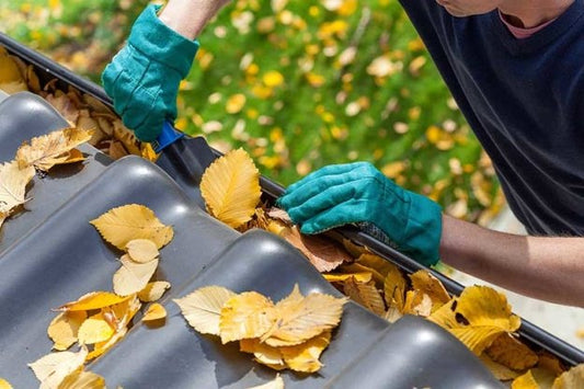 How to Inspect a Roof