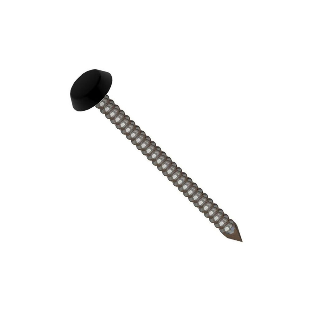 A black-capped polynail lying diagonally.