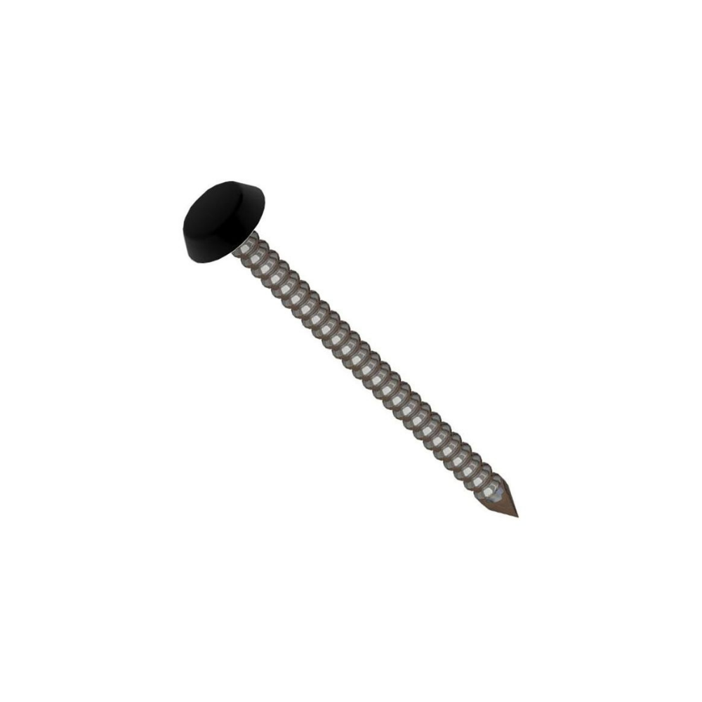A black-capped polynail lying diagonally.